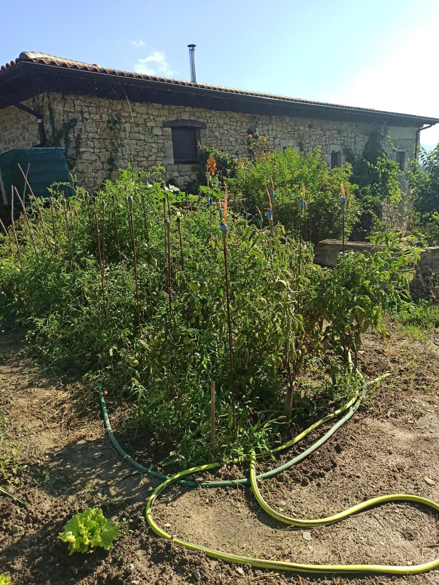 Casa Rural Ttipiaenea Landetxea Ariz  ภายนอก รูปภาพ